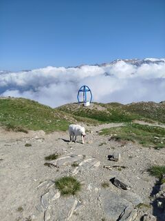 Photo de Miriam Laganella le long du parcours