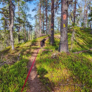 Auf dem Gipfel des Vaaras