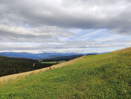 Foto von Lena Eder entlang der Tour