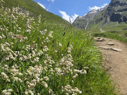 Photo de Gudrun Lippert le long du parcours