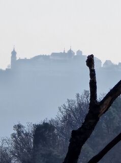 Fotografija s spletne strani Martina Gerneck na poti