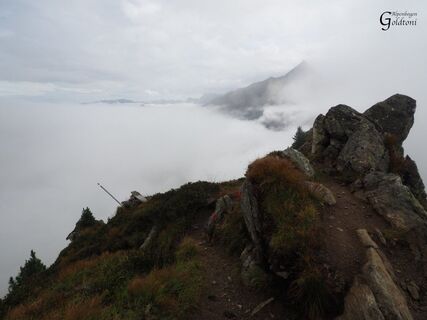 A029 Alpen