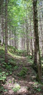 Fotografie z pesendis na trase