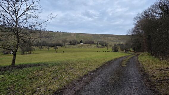 Fotografija s spletne strani Michaela Fritz 3 na poti