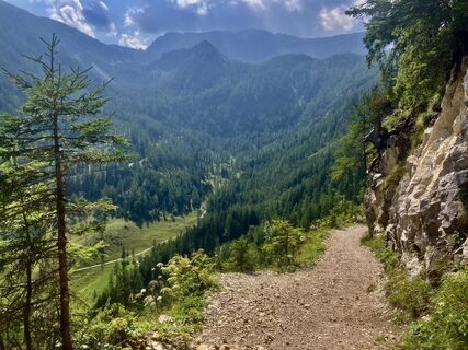 Fotografia z Johann Holzinger na trase