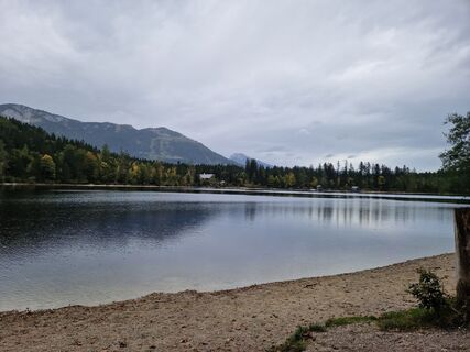 Fotografia z AN1717fr na trase