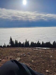 Fotografija s spletne strani Janez Berdavs na poti