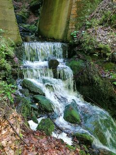 Fotografie z Dagmar Hofer na trase