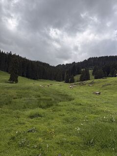 Foto von Anni Tokio entlang der Tour