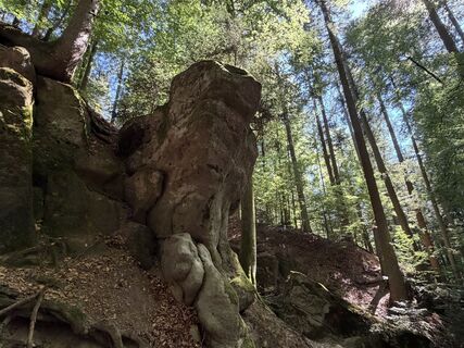 Foto von Stefanie Bernhard entlang der Tour
