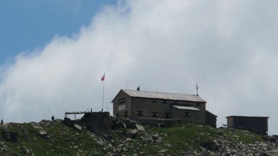 Foto da Arthur Muskalla lungo il tour