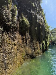 Fotografija s spletne strani vdmerwe na poti