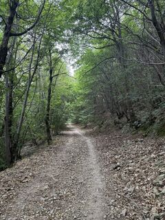 Foto de Vincenzo Cascio a lo largo del recorrido