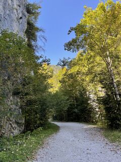 Fotografie de la Wolfgang Thomaschitz de-a lungul turului