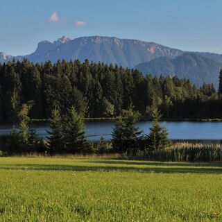 Der Kögelweiher - mit Blick auf den Breitenberg