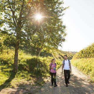 am Weg bei Krustetten