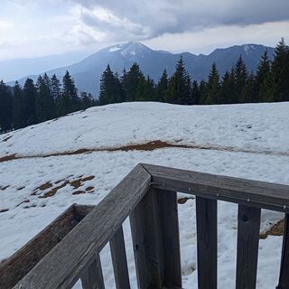 Fotografija s spletne strani Sanel Mehurovic na poti