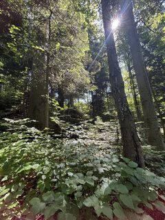 Fotografia z RS76 na trase