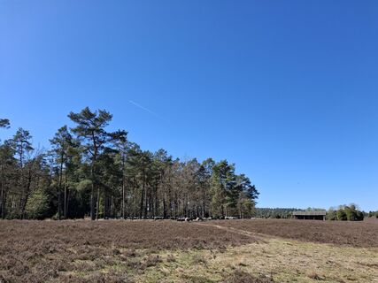 Foto von nordbergschnecke entlang der Tour