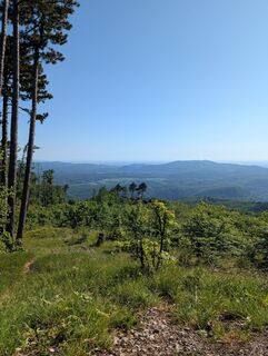 Foto von HOJ_09 entlang der Tour