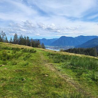 Blick von der Holzeralm zum Tegernsee
