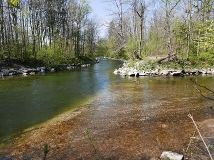 Schneiderau: Highlight dieses Weges Zusammentreffen von Vöckla und Ager