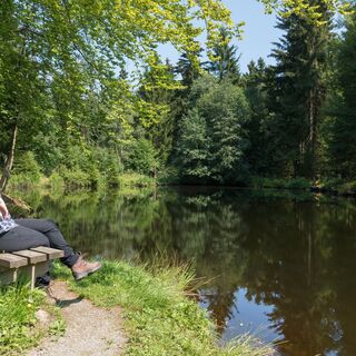 Am Meiler in Schöneck