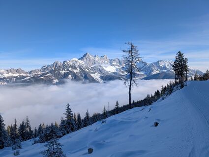 Fotografija s spletne strani Pfefferam na poti