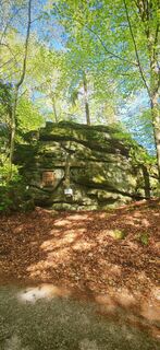 Foto de ReginaSt a lo largo del recorrido