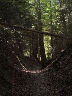 Fotografia z Darko Ivanovic 1 na trase