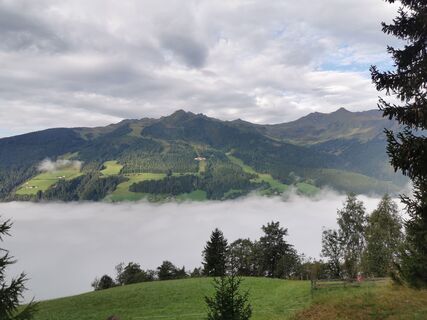 Foto von P Kowatschek entlang der Tour