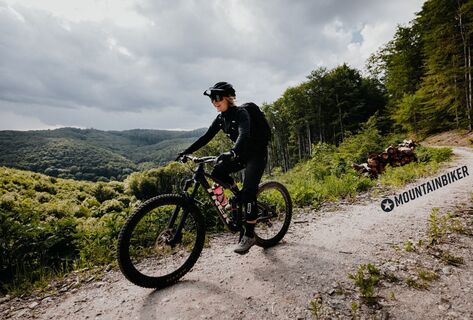MTB im Wienerwald