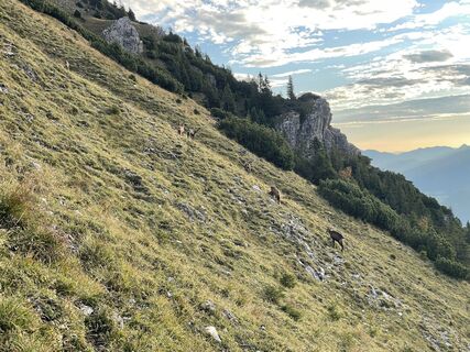 Foto de Hubert Nägele a lo largo del recorrido