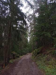 Foto von Aner entlang der Tour