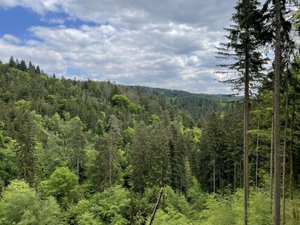 Foto von Yannick Schmidl entlang der Tour