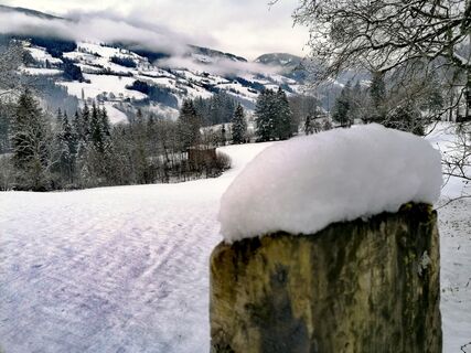 Blick auf den Erlsberg