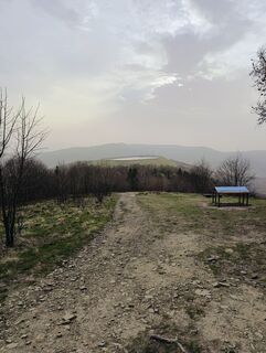 Photo de Romek Dwornik le long du parcours