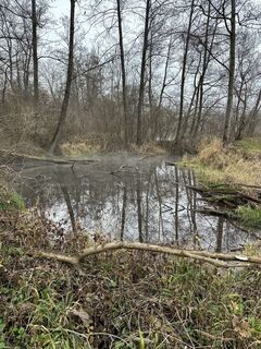 Zdjęcie z Babs Holz wzdłuż trasy
