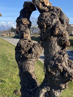 Foto de Gianberto Zilli a lo largo del recorrido