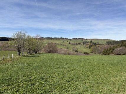 Photo de Frank Neumann le long du parcours