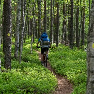 Monttu-Route