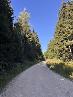 Foto de Heinz Sperl a lo largo del recorrido