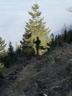 Foto von Berg Noar entlang der Tour