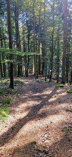 Foto von helga-k entlang der Tour
