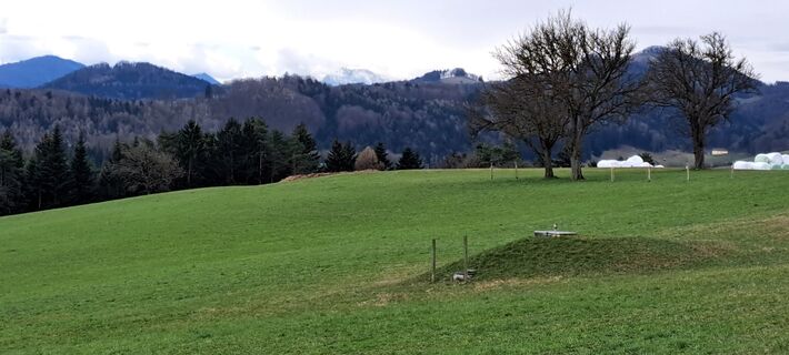 Foto von Elfriede 1 entlang der Tour