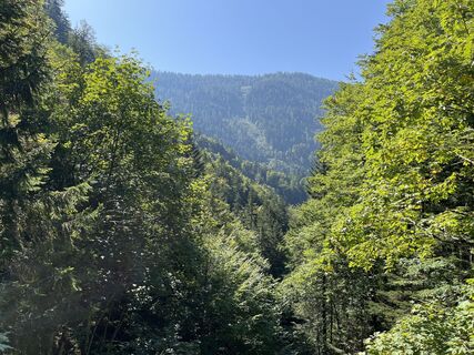 Fotografia z Heinz Sperl na trase