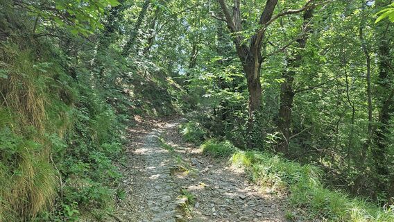 Trail Salita al Garbo