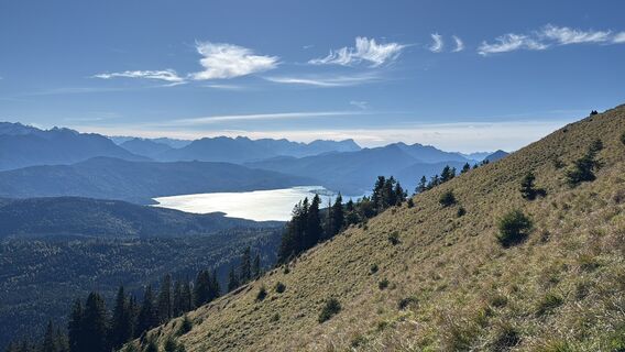Fotografie de la Robert Meier de-a lungul turului