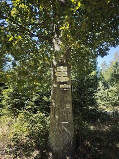 Zdjęcie z Michal Šedo wzdłuż trasy