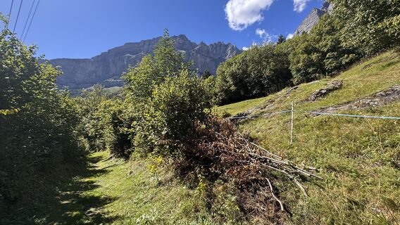 Fotografie z peter_oe na trase